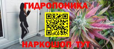 дурь Мариинск
