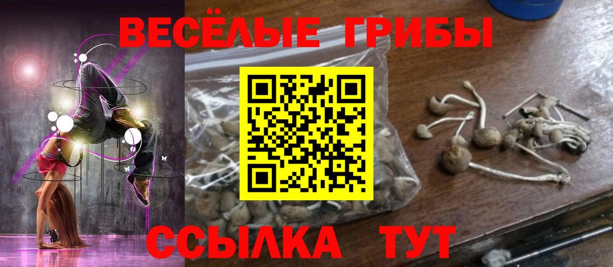 Псилоцибиновые грибы GOLDEN TEACHER Фурманов